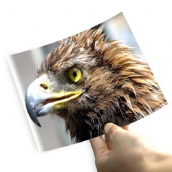 Microporous Premium Resin Coated RC Glossy Inkjet Photo Paper